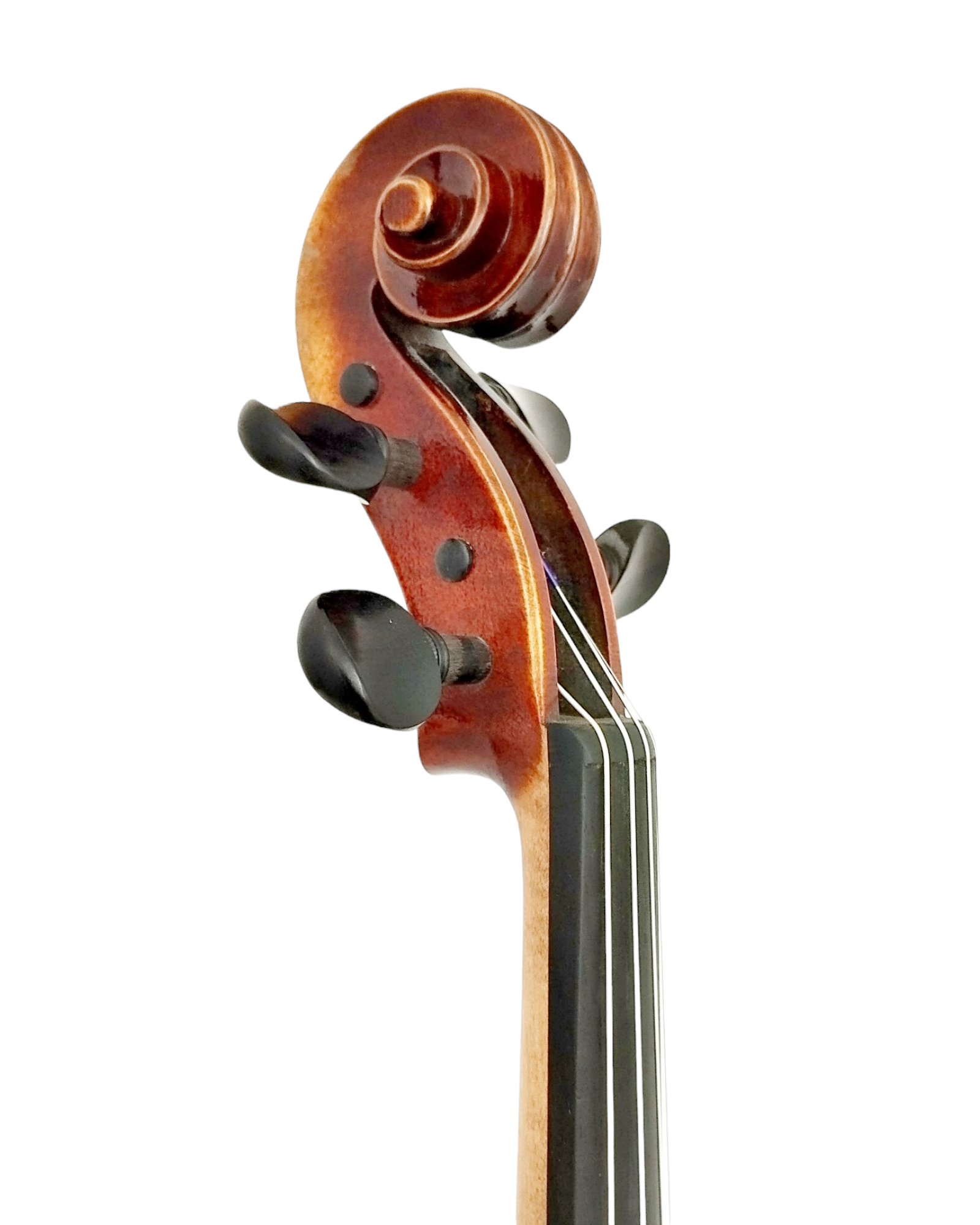 Full Size SRVA211441 Violin Outfit