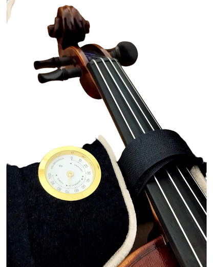 Full Size SRVA211441 Violin Outfit