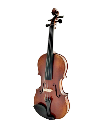 Full Size SRVA211441 Violin Outfit