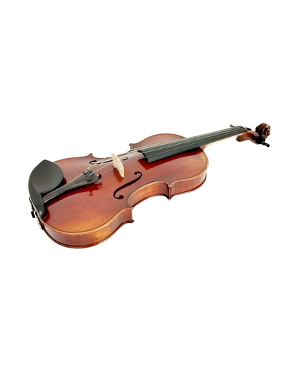 Full Size SRVA211441 Violin Outfit