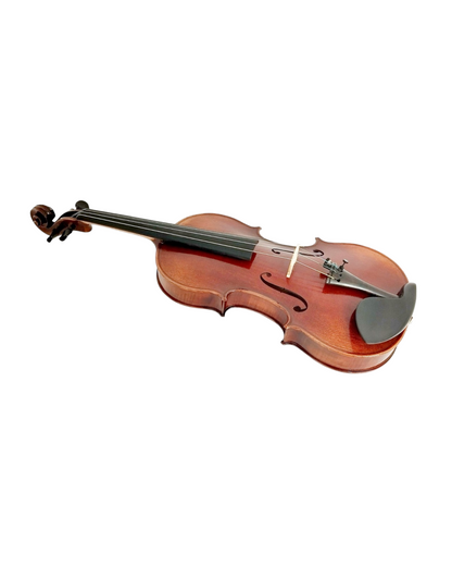 Full Size SRVA211441 Violin Outfit