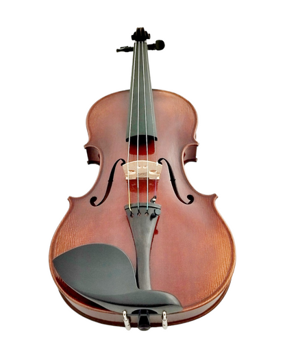 Full Size SRVA211441 Violin Outfit