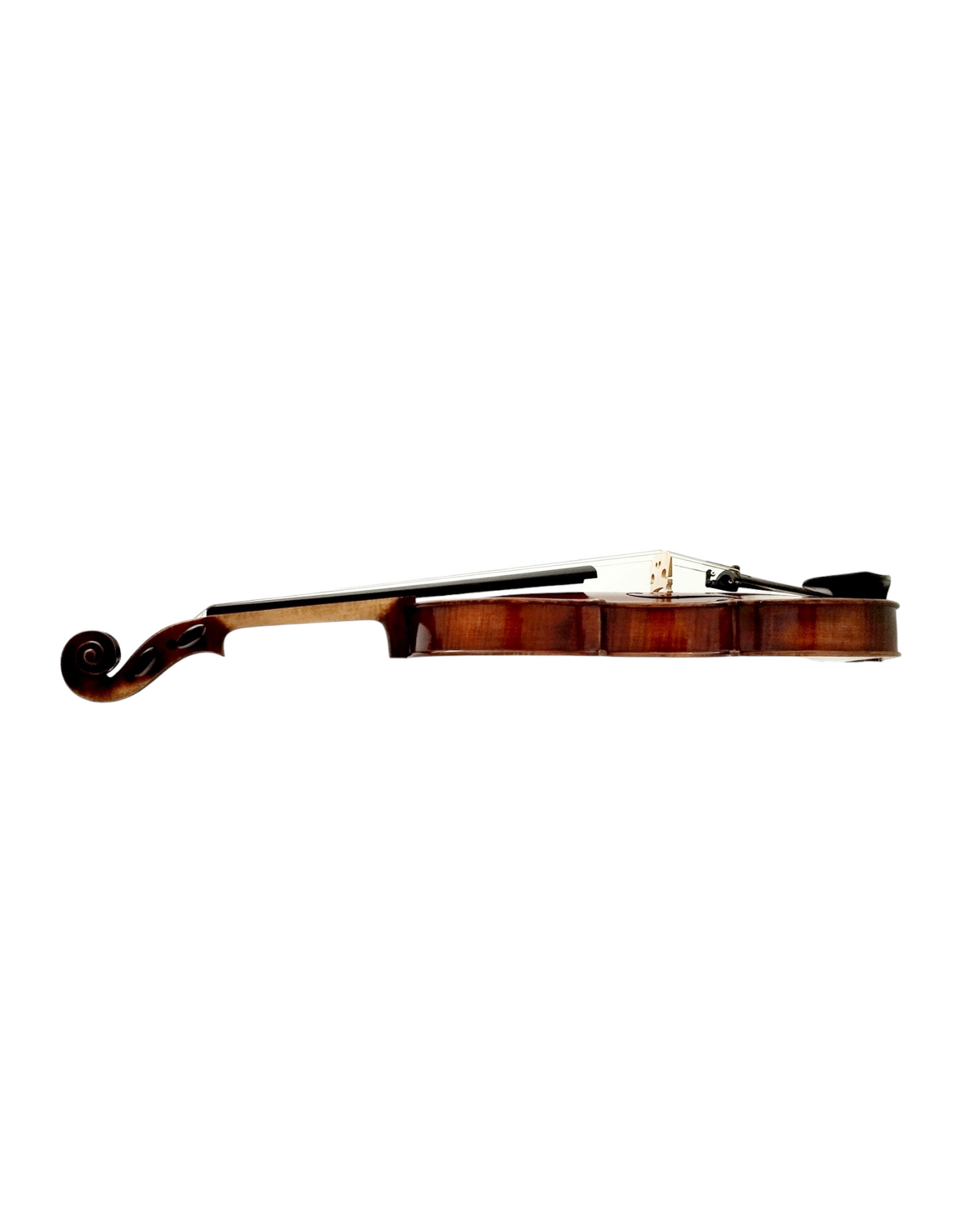 Full Size SRVA211441 Violin Outfit