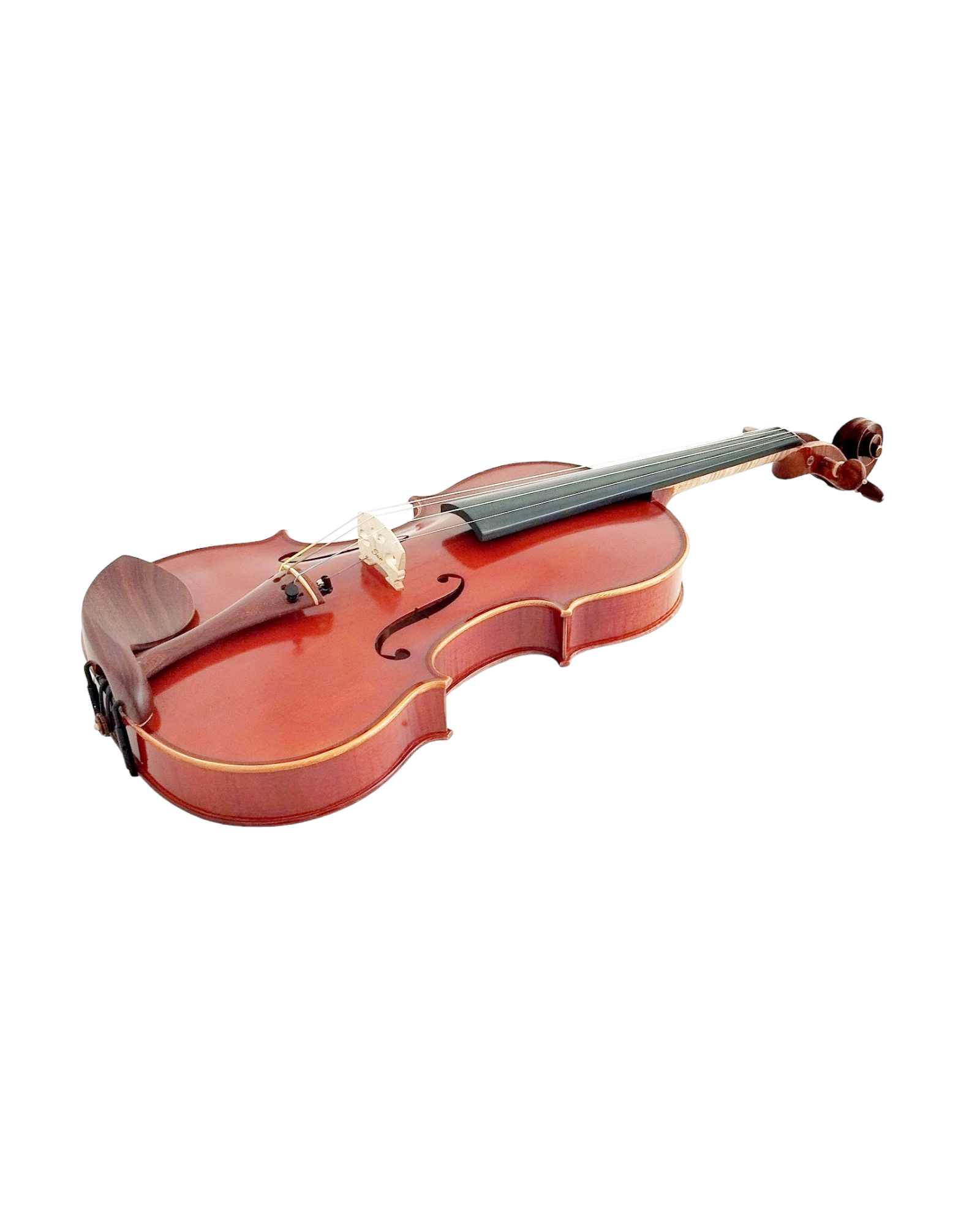 Full Size SRVA211442 Violin Outfit