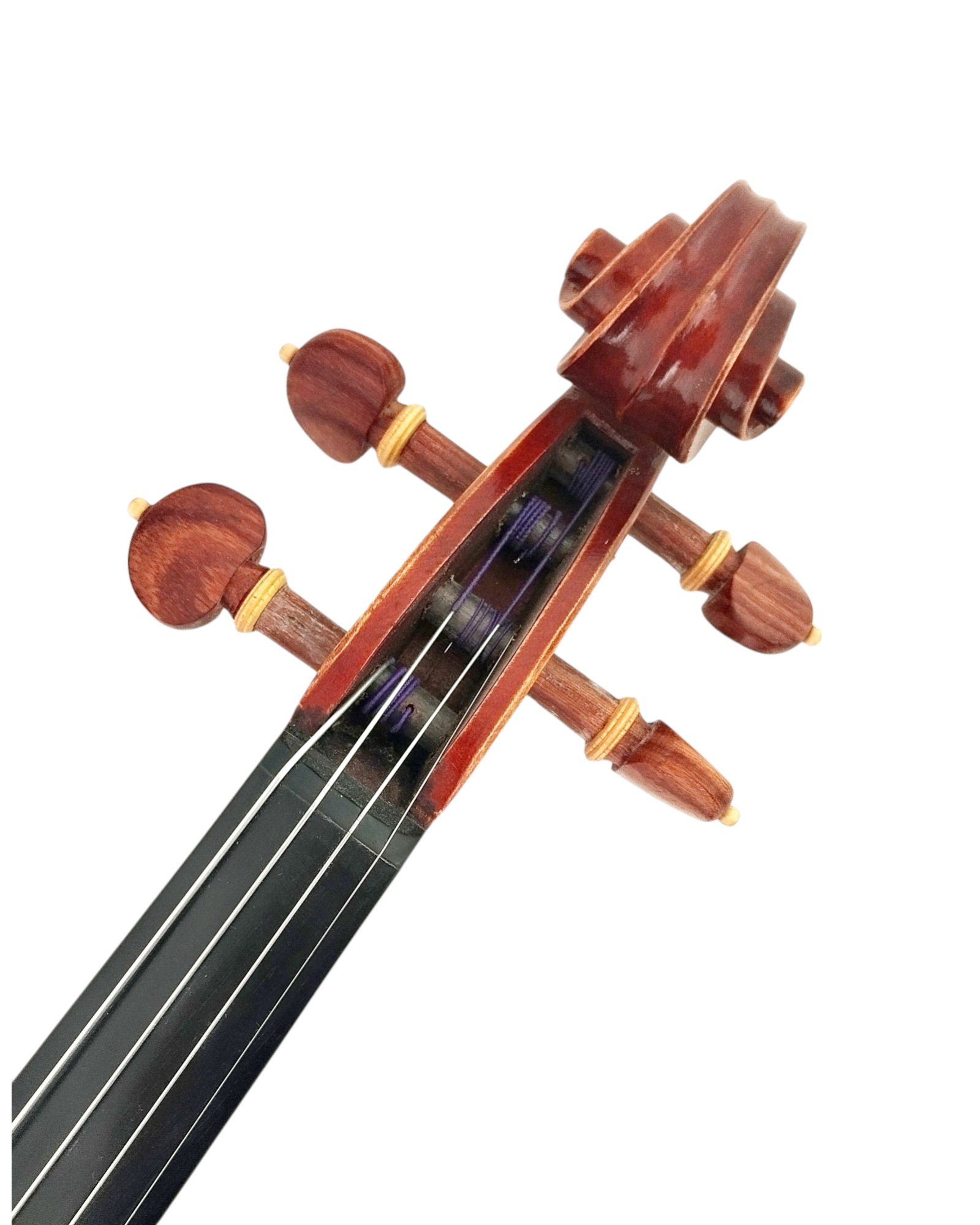 Full Size SRVA211442 Violin Outfit