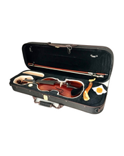 Full Size SRVA211442 Violin Outfit