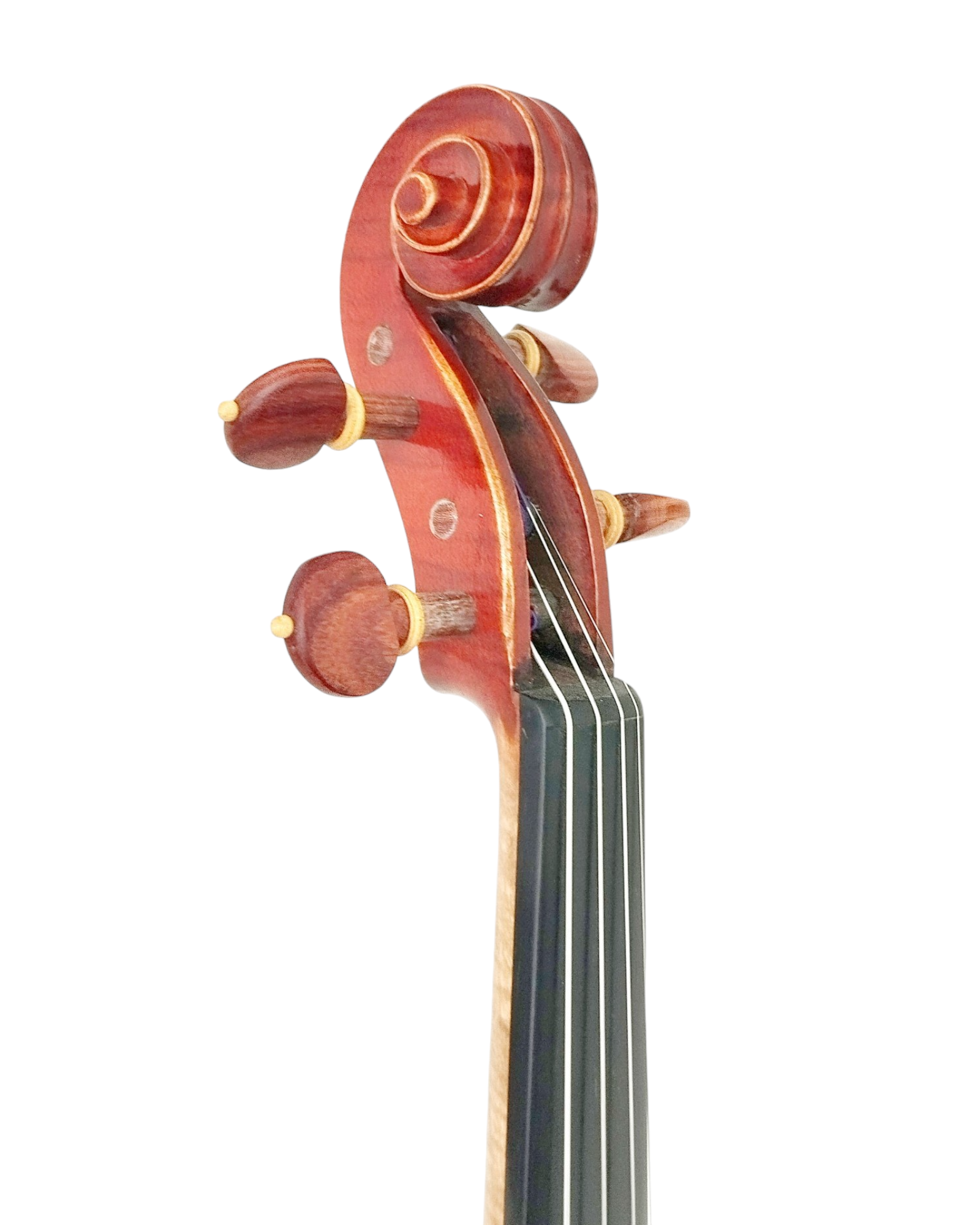 Full Size SRVA211442 Violin Outfit