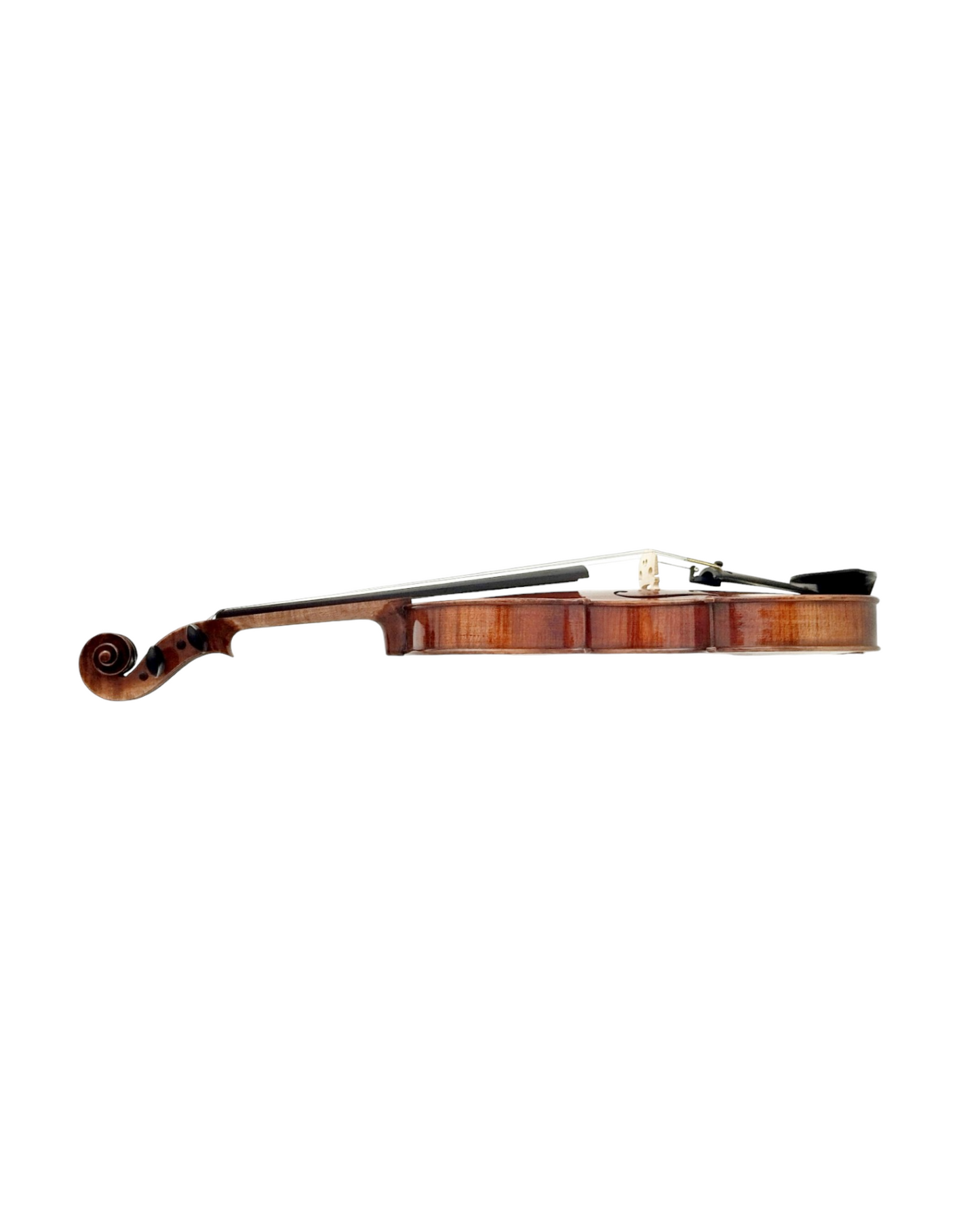 Full Size SRVA211443 Violin Outfit