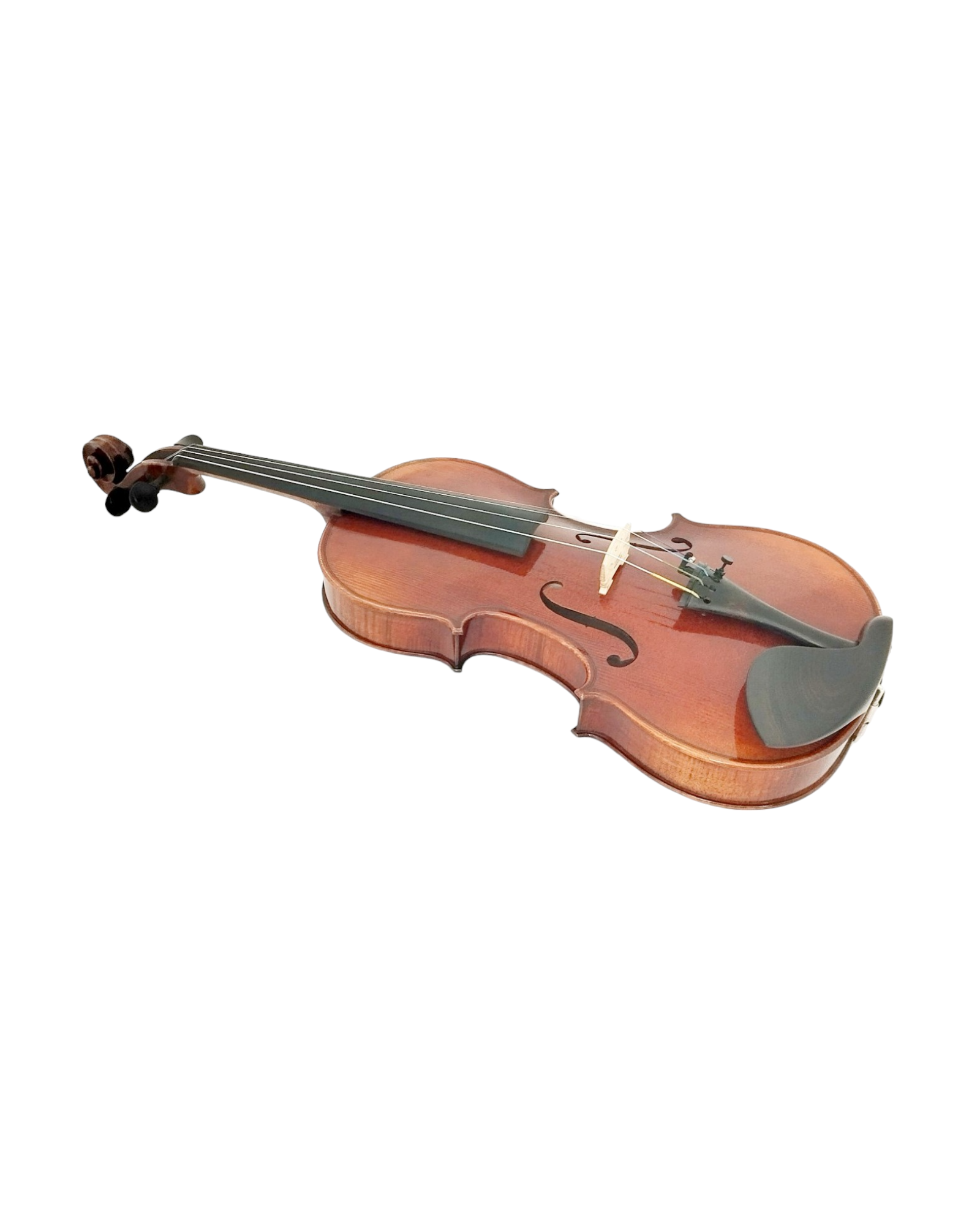 Full Size SRVA211443 Violin Outfit