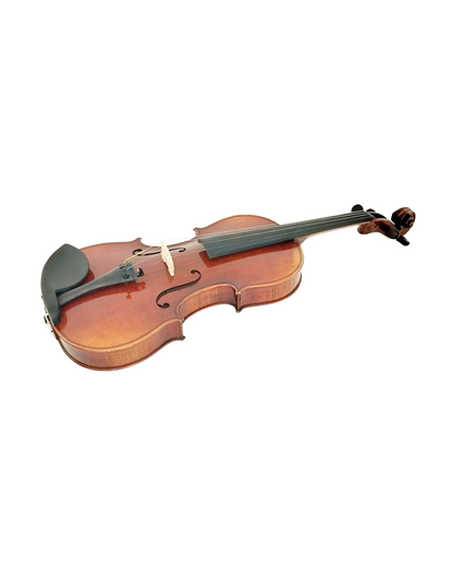 Full Size SRVA211443 Violin Outfit