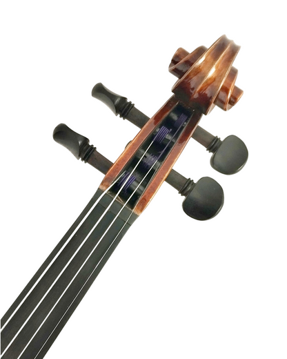 Full Size SRVA211443 Violin Outfit