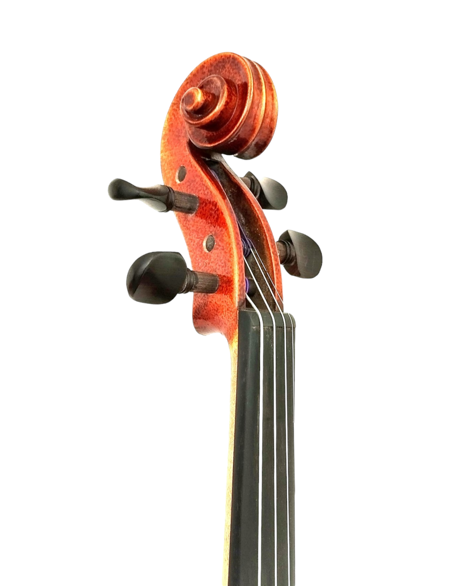 Full Size SRVA211444 Violin Outfit