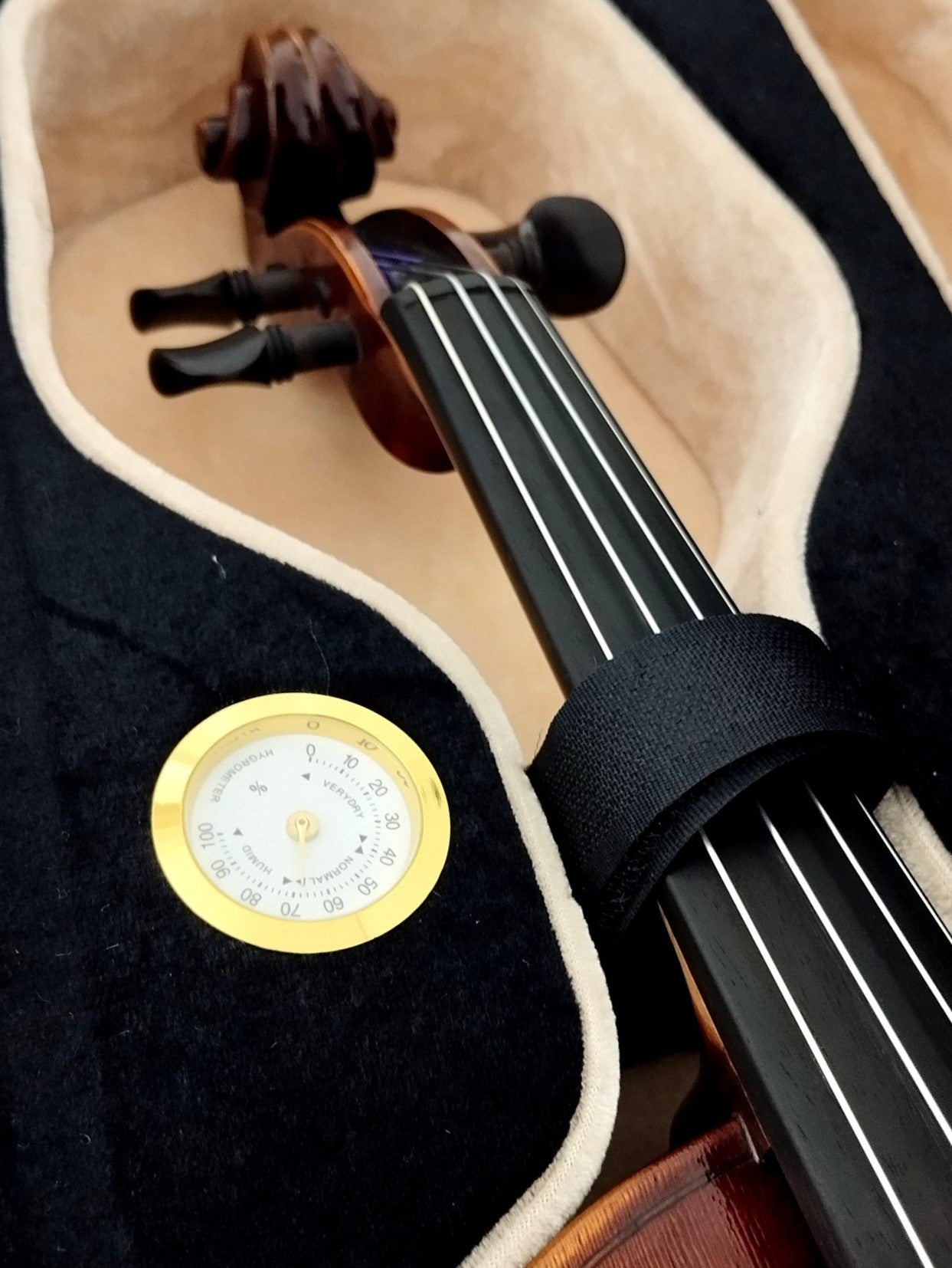 Full Size SRVA211444 Violin Outfit