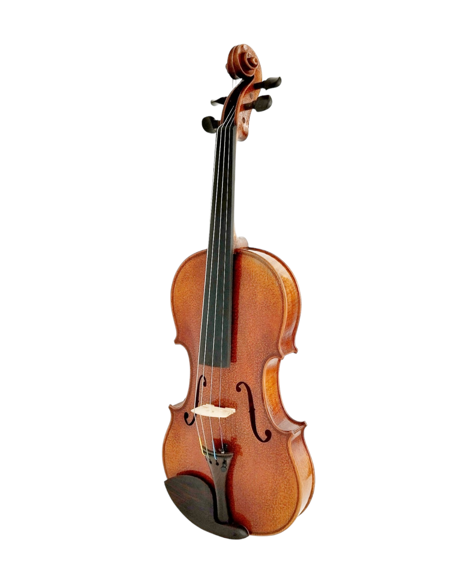 Full Size SRVA211444 Violin Outfit