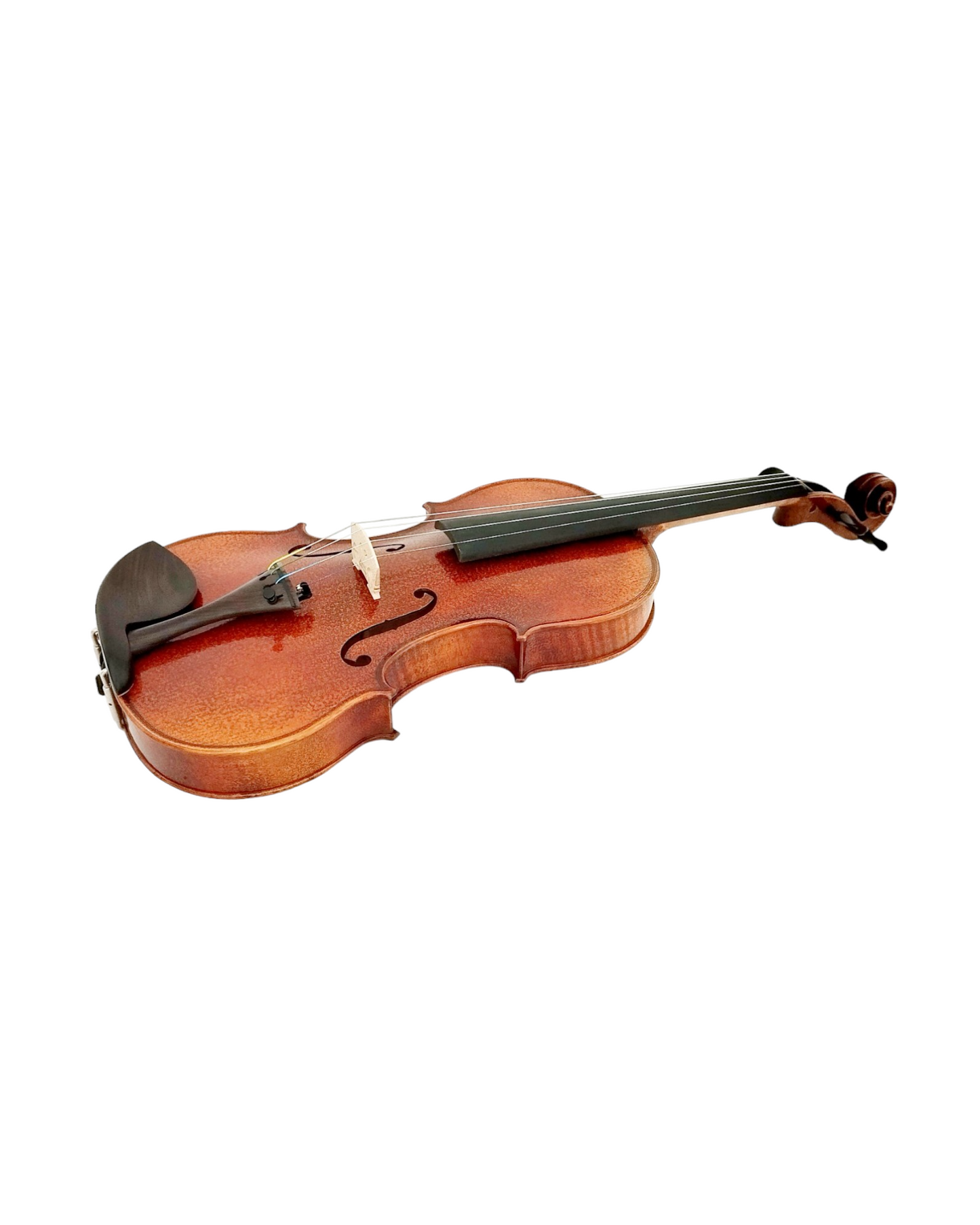 Full Size SRVA211444 Violin Outfit