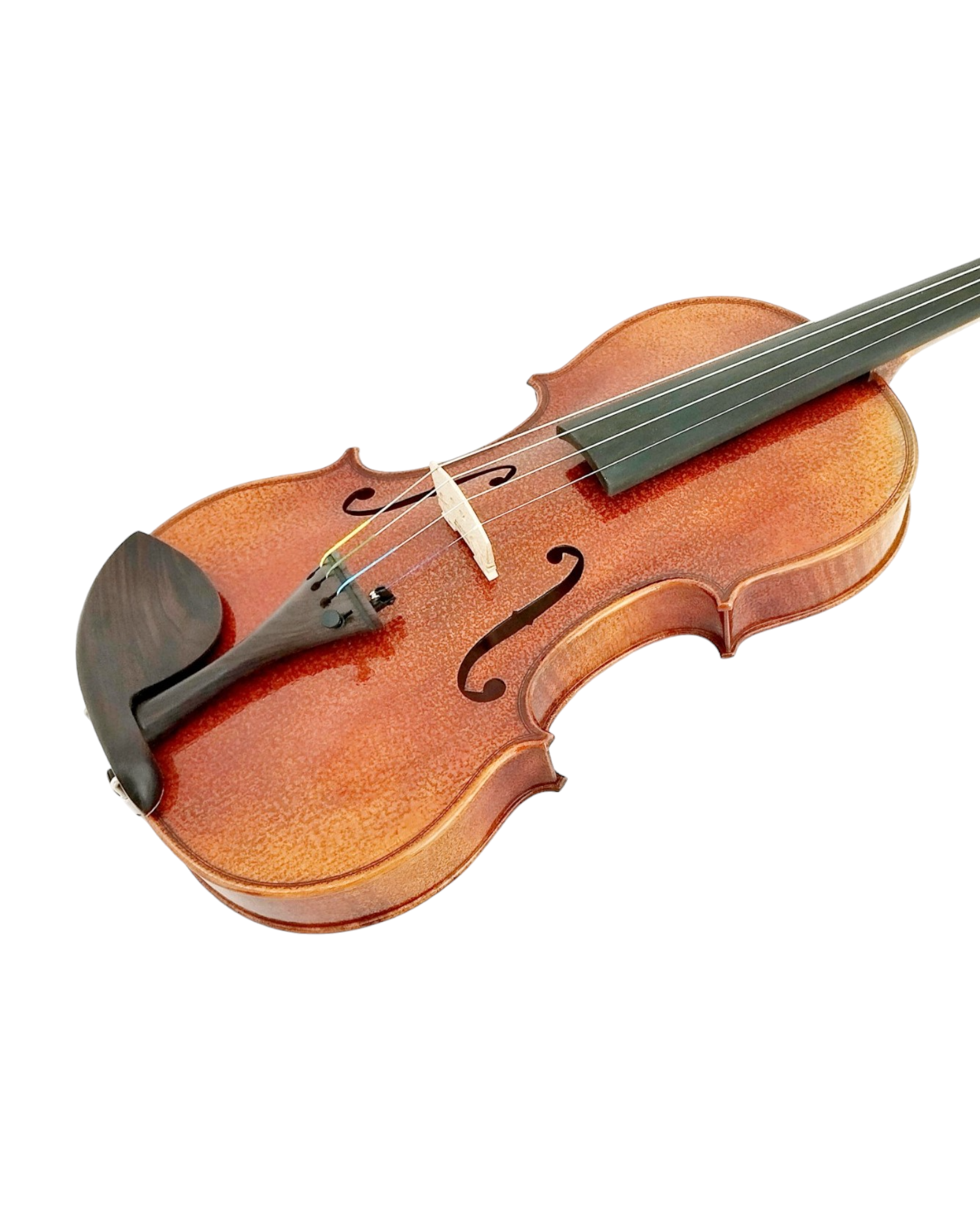 Full Size SRVA211444 Violin Outfit