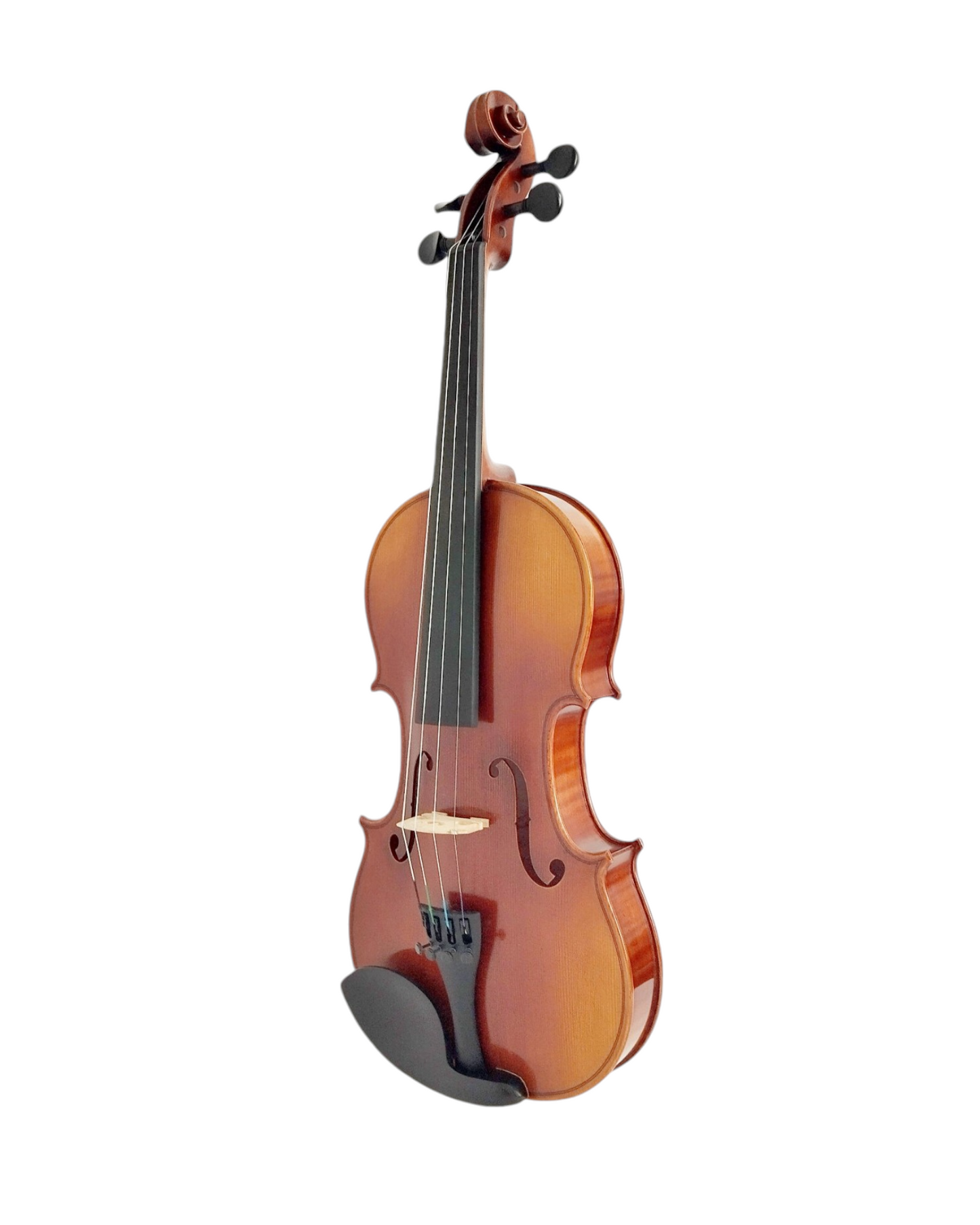 STVO17E Violin, European maple and spruce with antique varnish