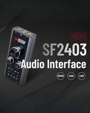 Simplefly Analog Dual-Channel 24bit/192kHz AD/DA Converter USB-C Audio Interface w/ 48V Phantom Power Supply & Loopback Function - SF2403