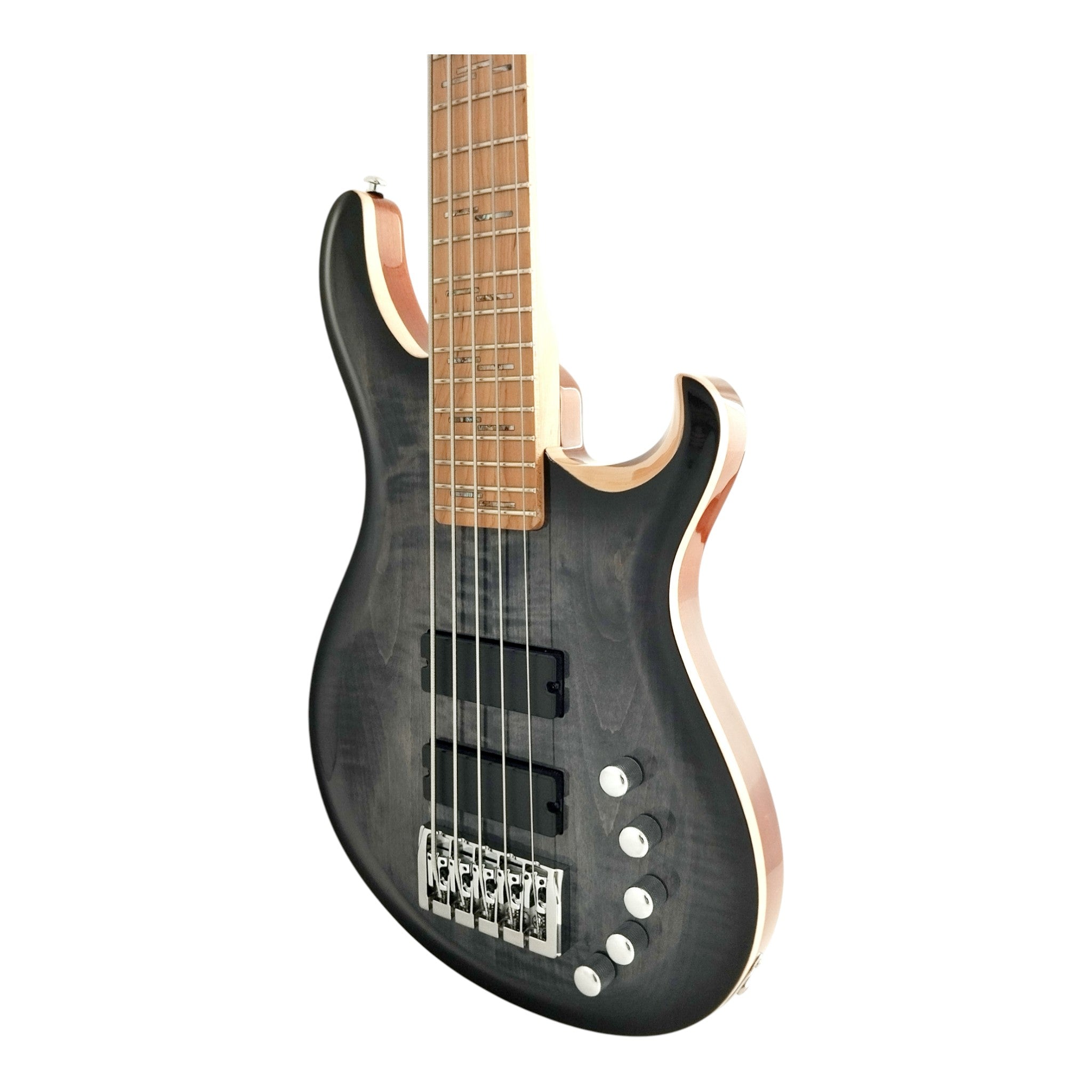 An Exquisite 5th String Bass Guitar with Superior Sound Quality BASS5