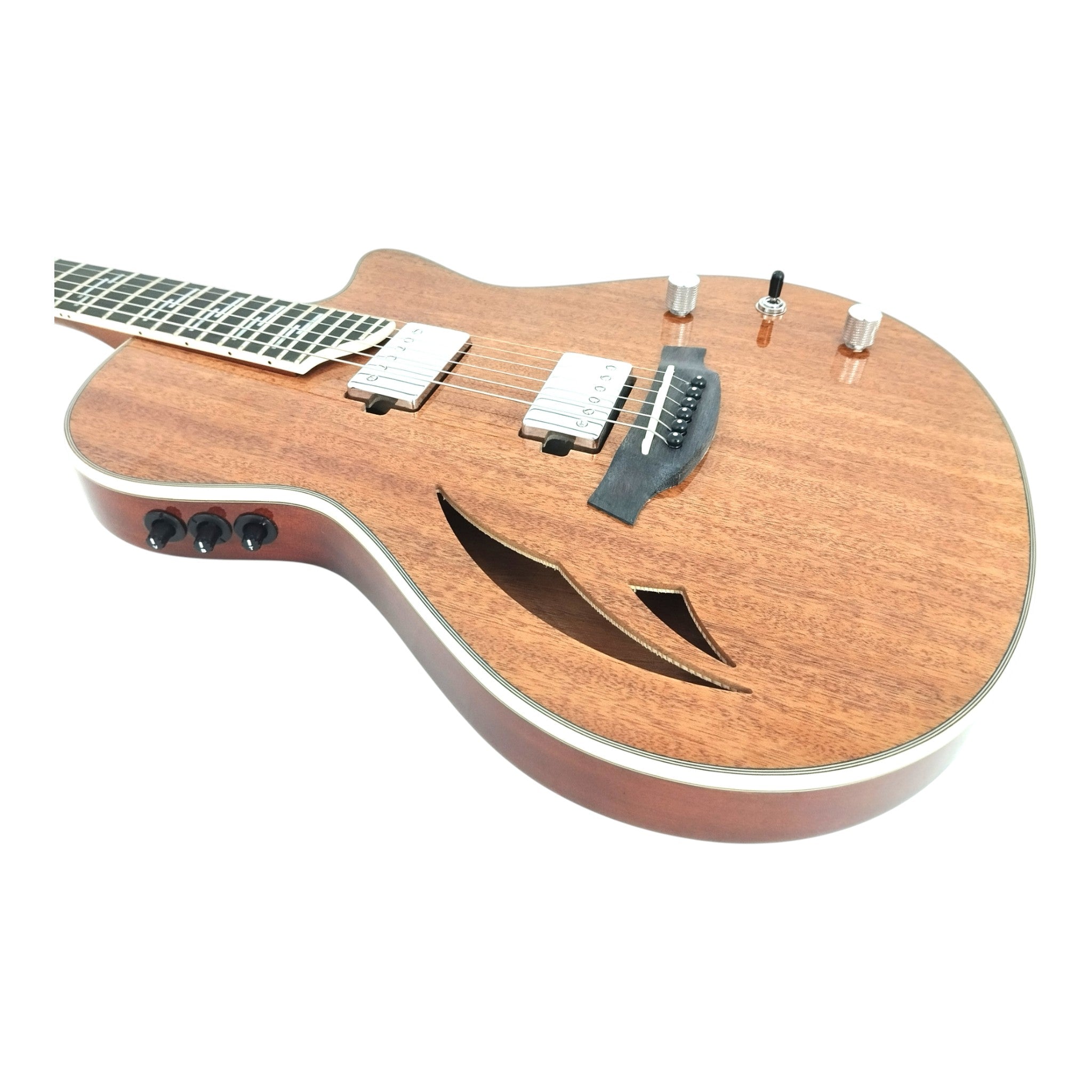 The Swiss Army Knife of Hybrid Electric-Acoustic Guitars w/ (Optional) Foam Case - MULTISPECIALIST2