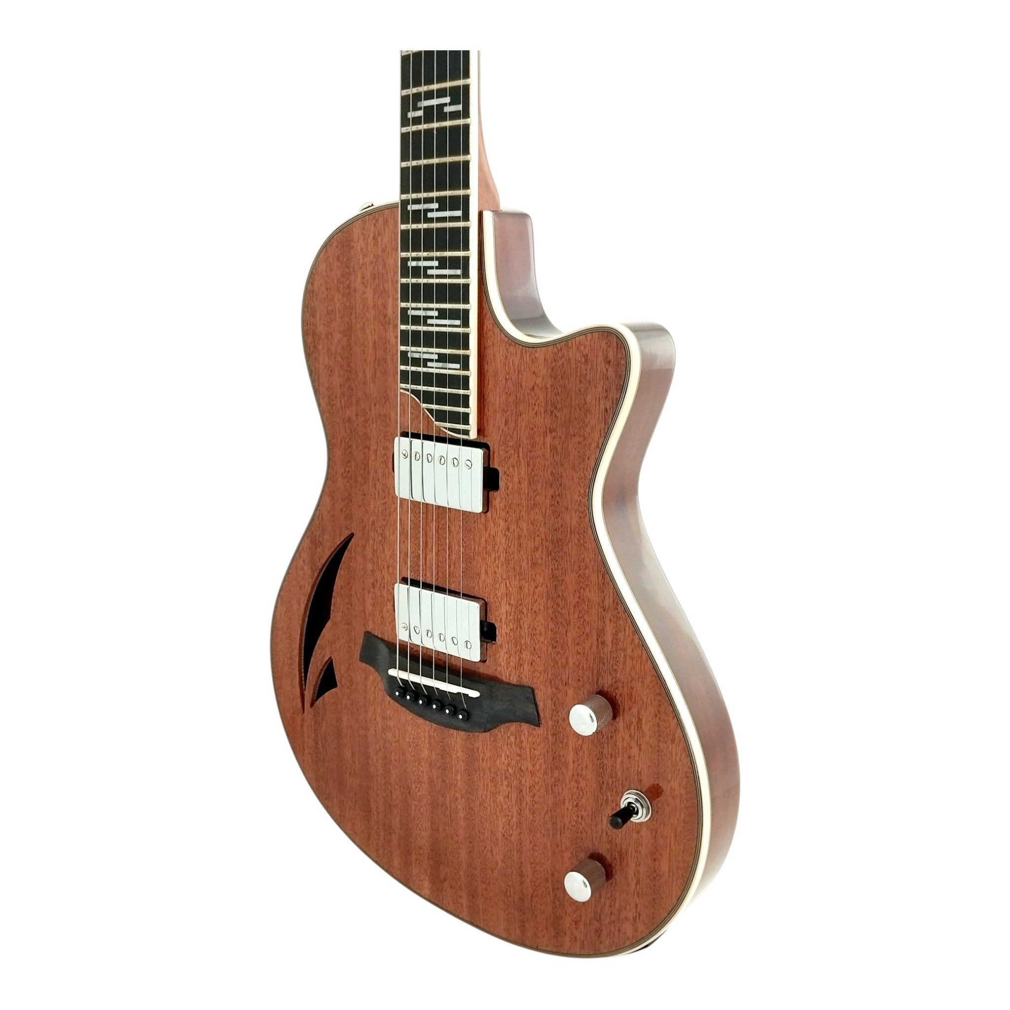 The Swiss Army Knife of Hybrid Electric-Acoustic Guitars w/ (Optional) Foam Case - MULTISPECIALIST2