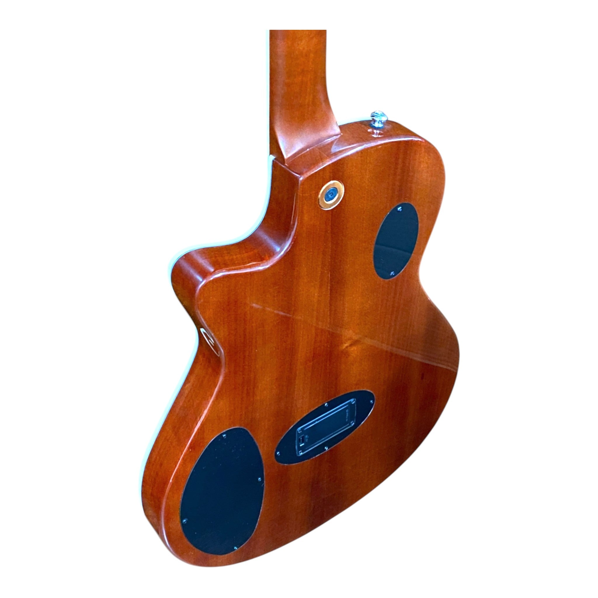 The Hybrid All-In-One Electric-Acoustic Guitar w/ (Optional) Foam Case - MULTISPECIALIST3