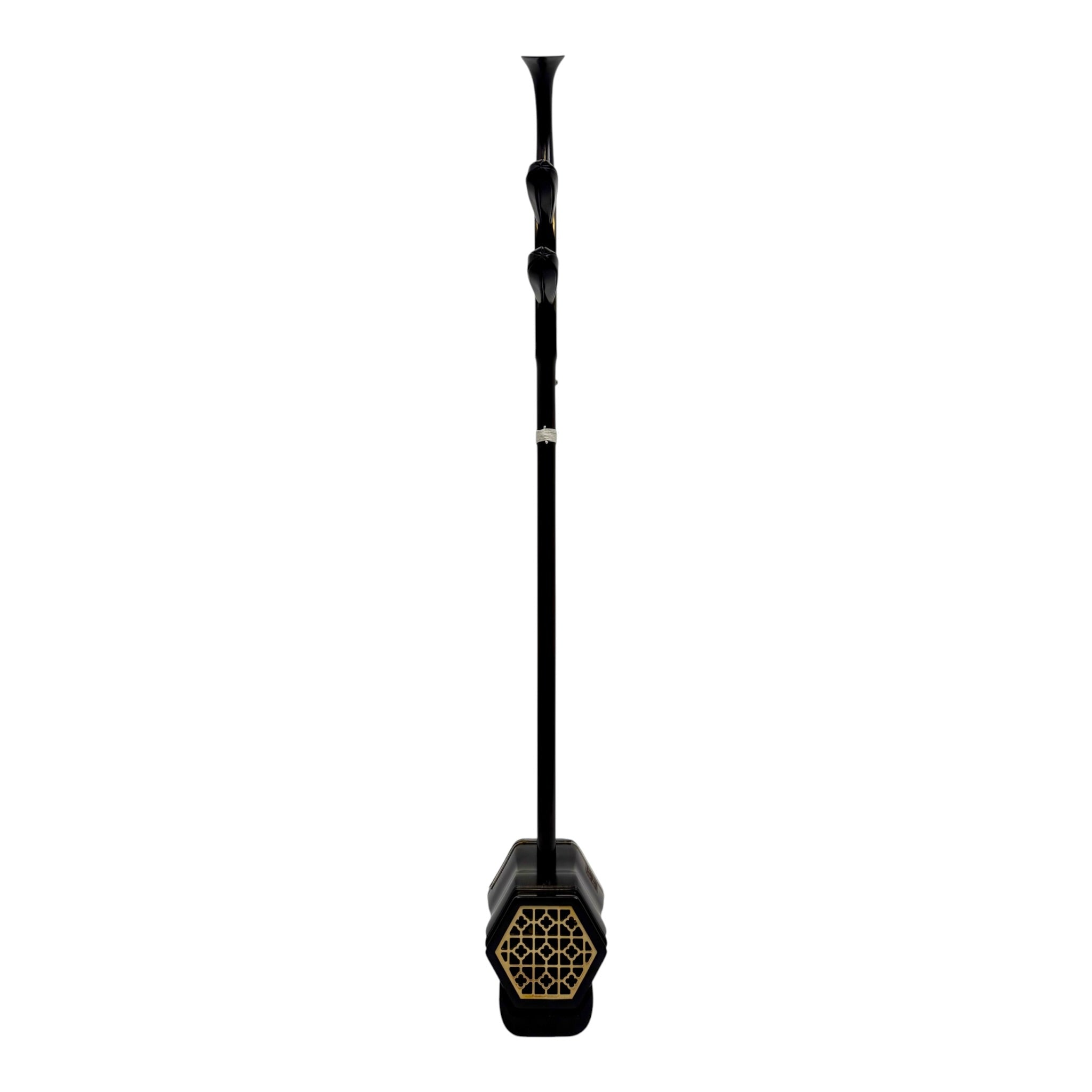 Coco CE006 Mid-Range Ebony Erhu Outfit with Hard Case & Accessories
