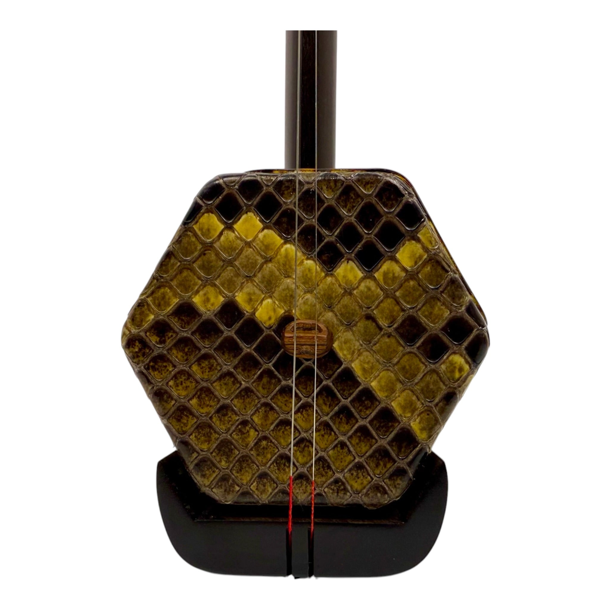 Coco CE007CT Professional-Grade Ebony Erhu Outfit with Hard Case & Accessories