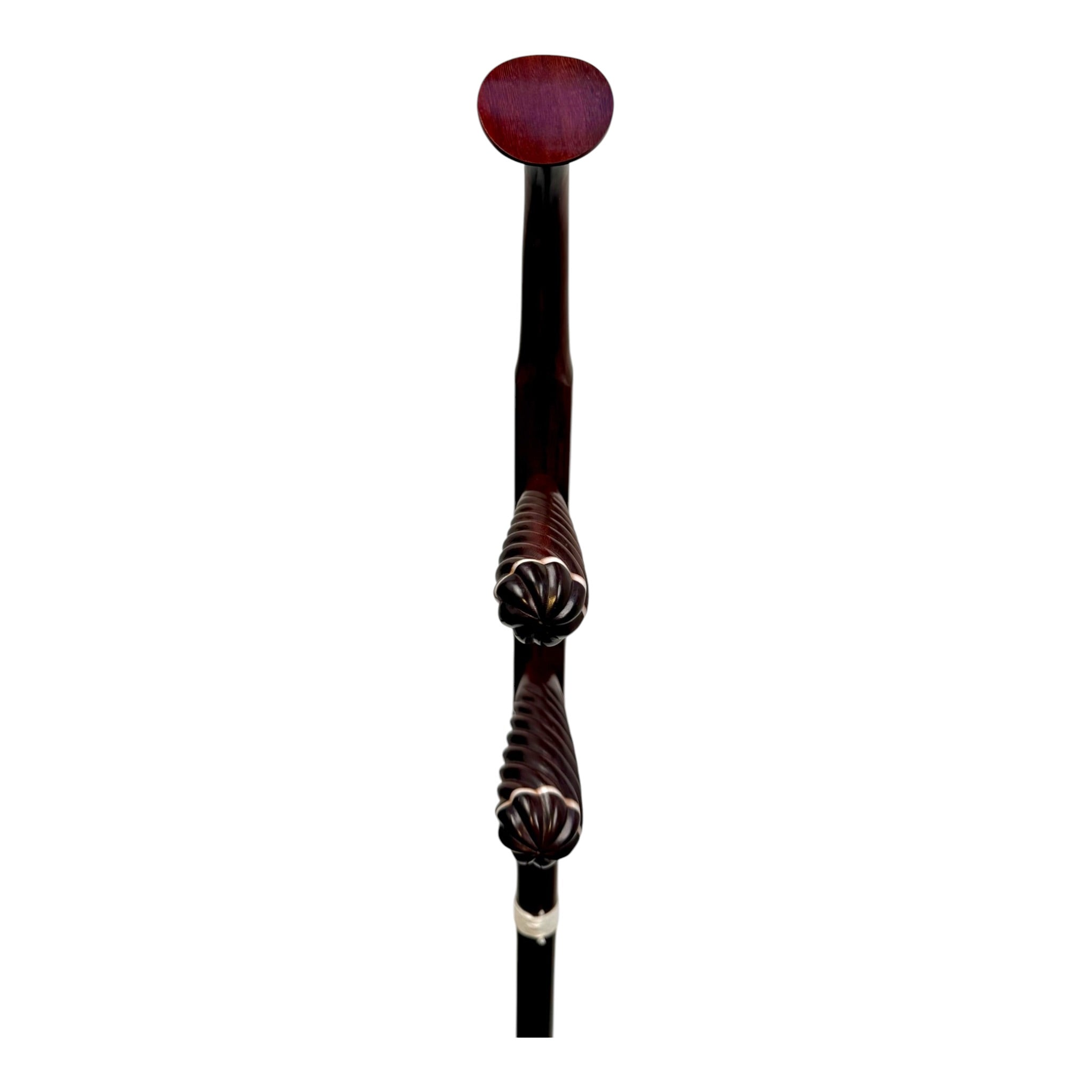 Coco CZ008 Professional-Grade Zitan Sandalwood Erhu Outfit with Hard Case & Accessories