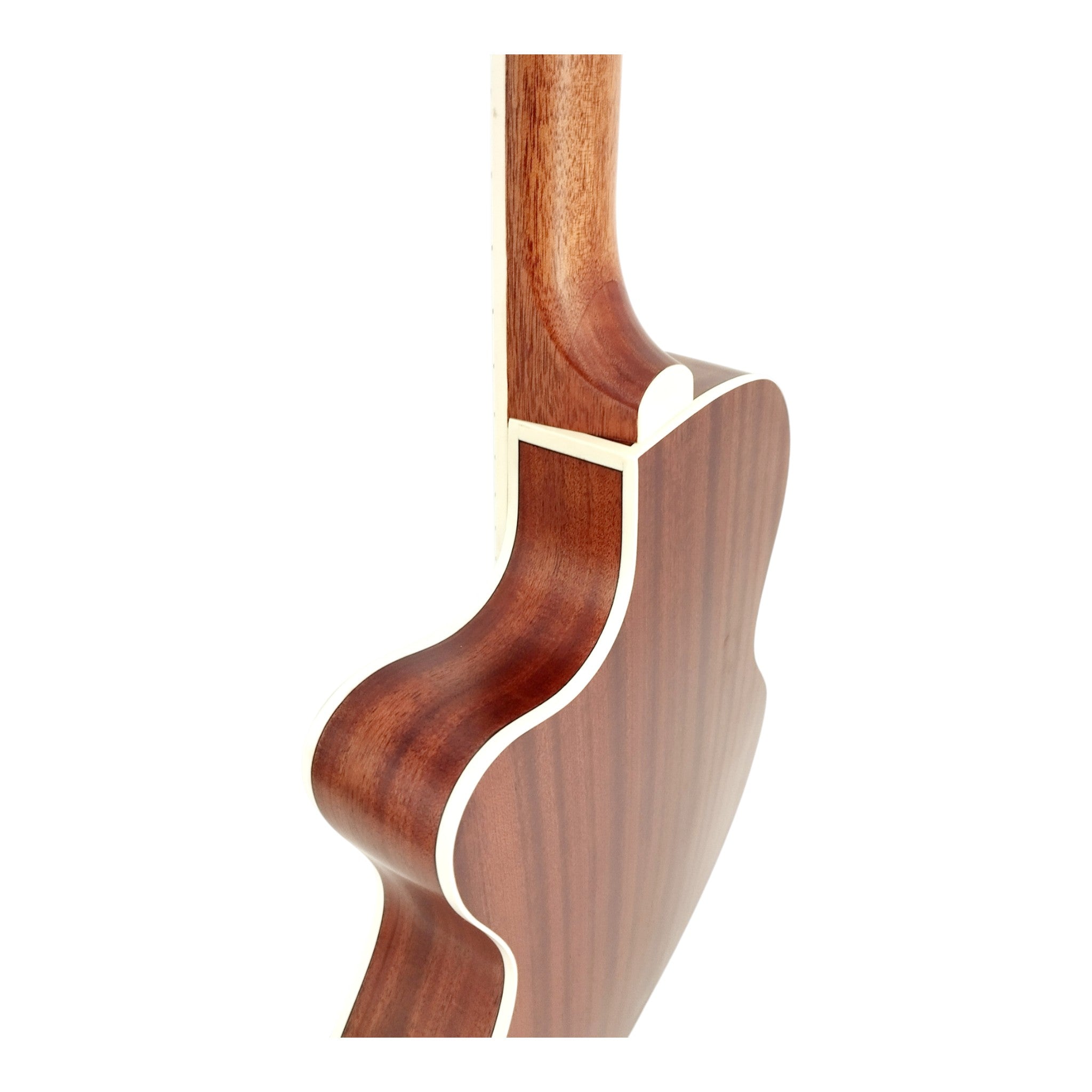 Haze Solid Spruce Arched Back Thin Body Classical Guitar w/ Built-In Pickups & Tuner in Matte - C551BCEQSM