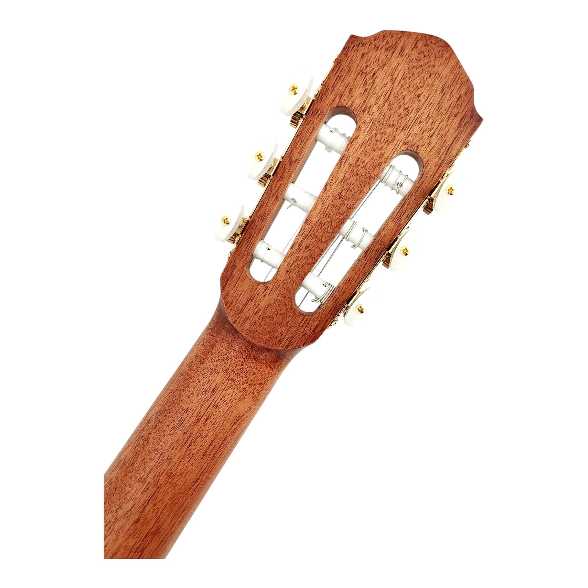 Haze Solid Spruce Arched Back Thin Body Classical Guitar w/ Built-In Pickups & Tuner in Matte - C551BCEQSM