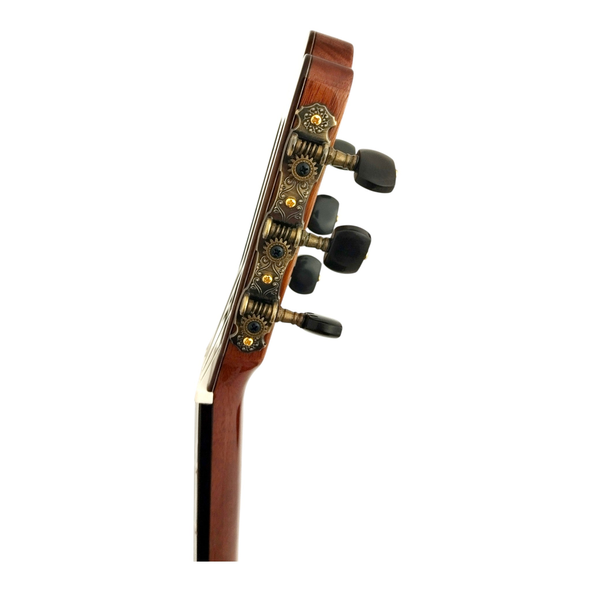 The CG01 Classical Guitar – Elegance in Sound and Design + Hard Case