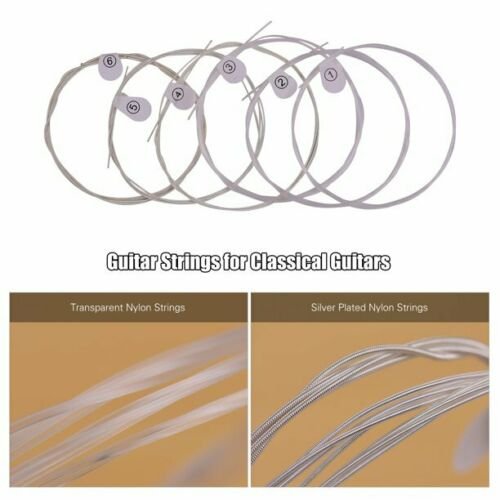 Haze Guitar Australia DPA70 classical guitar nylon string set with clear nylon and silver plated wound strings