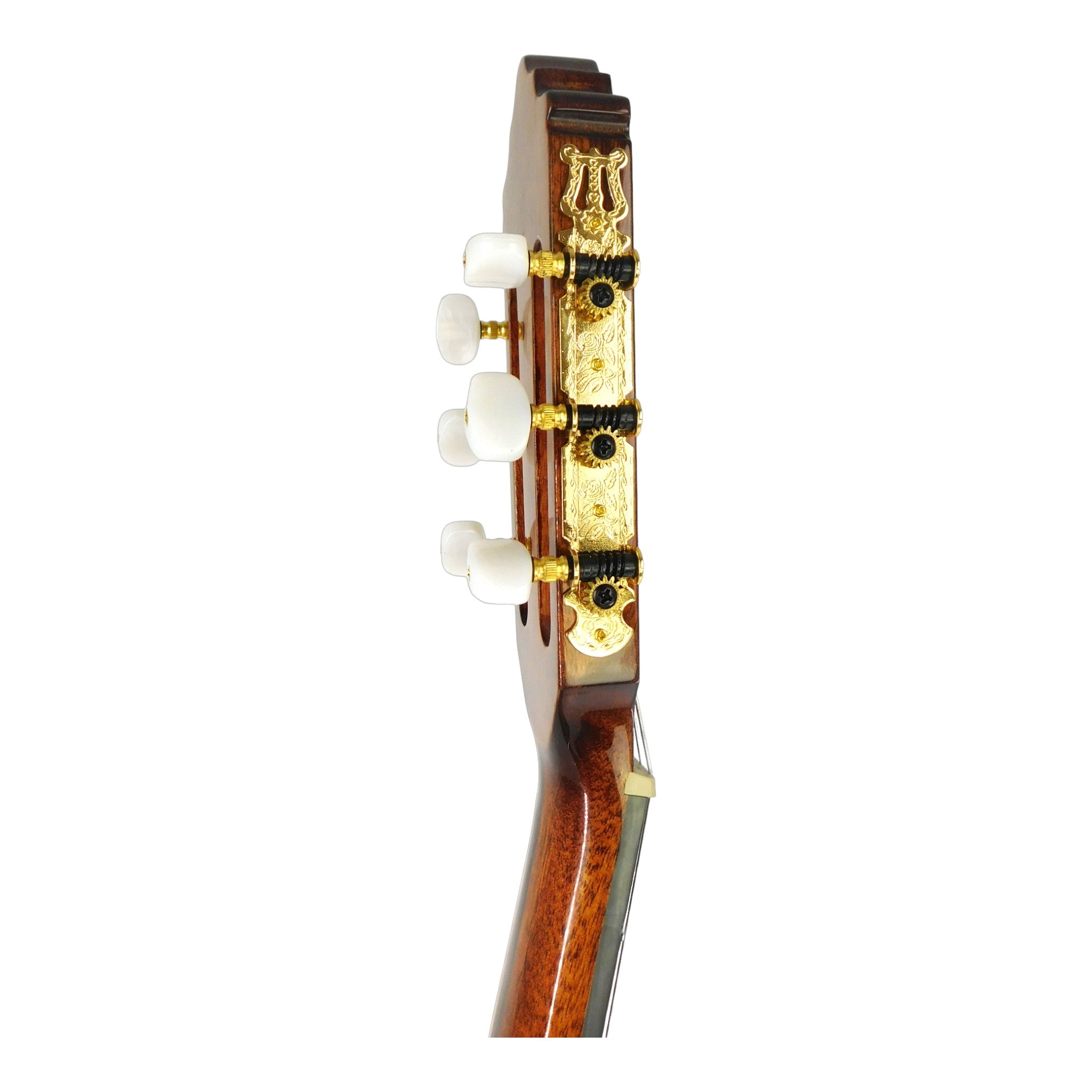 Miguel Rosales Solid Canadian Cedar Cutaway Built-In Belcat Pickup/Tuner Classical Guitar - Natural HS10CEQN