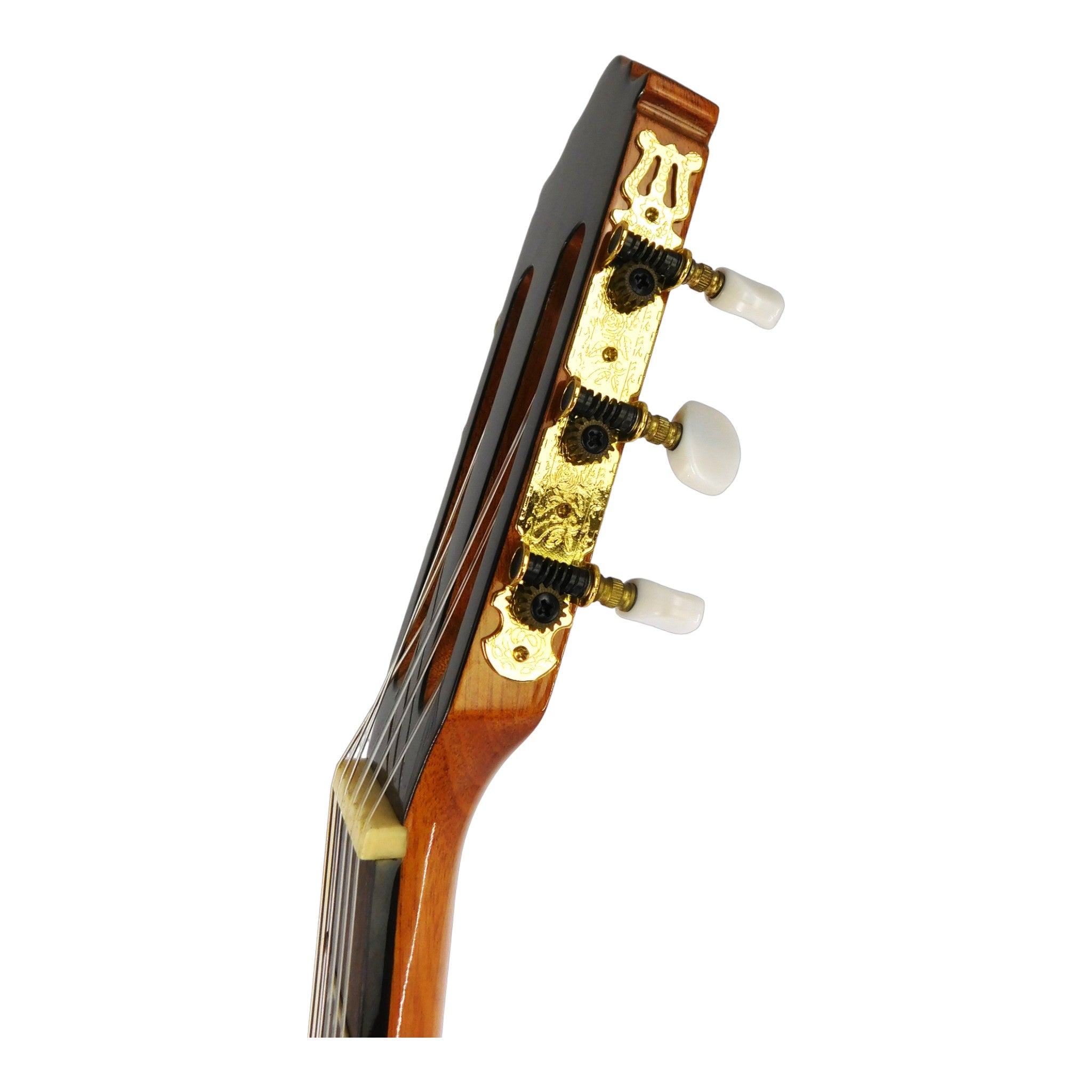 Miguel Rosales Solid Cedar Cutaway Built-In Pickup/Tuner Classical Guitar - Natural HS20CEQN