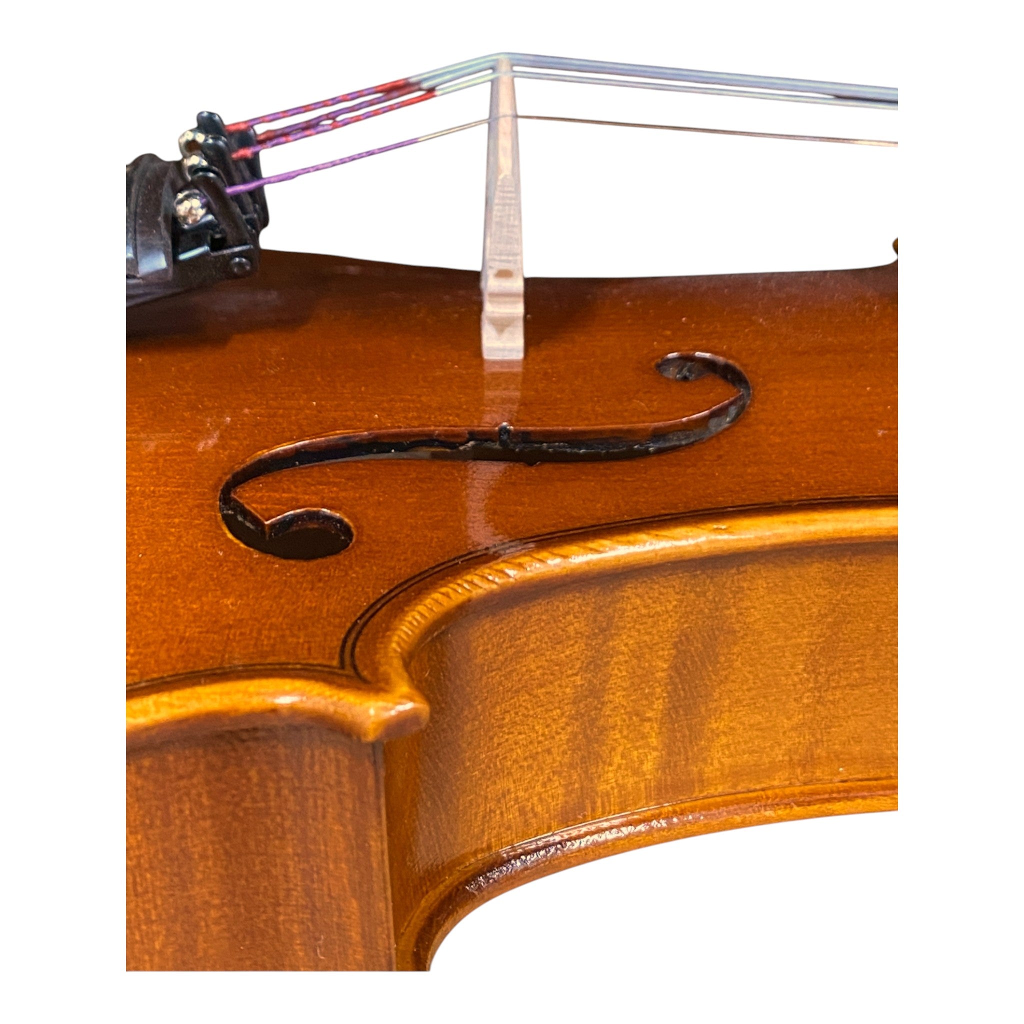 Symphony AV545 Solid Spruce & Flamed Maple 1/2 Size Violin outfit in Natural Semi-Gloss w/ Foam Case, Bow, and Rosin