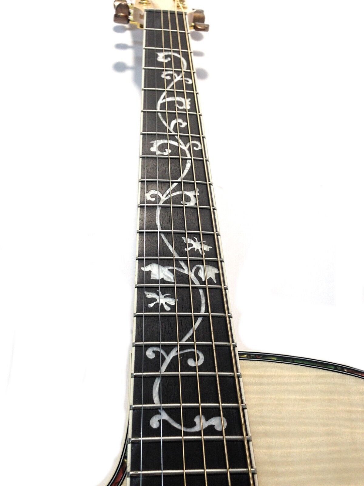 Caraya Left-Handed Thin-Body Built-In Pickups/Tuner Acoustic Guitar - –  Kookaburra Music Tree