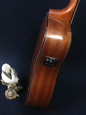 Gosila CS801210CEQ Solid Spruce Top Fishman Pickup/Tuner Cutaway Acoustic Guitar - Natural