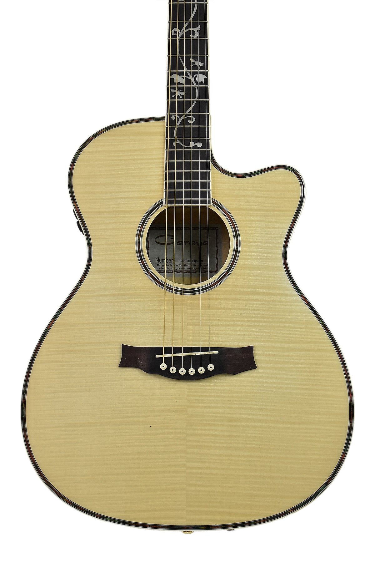 Acoustic guitar with built deals in speaker