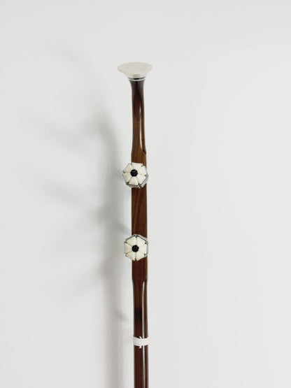 Chinese Erhu 2-string Violin Black rosewood Solid Wood W Hard Case