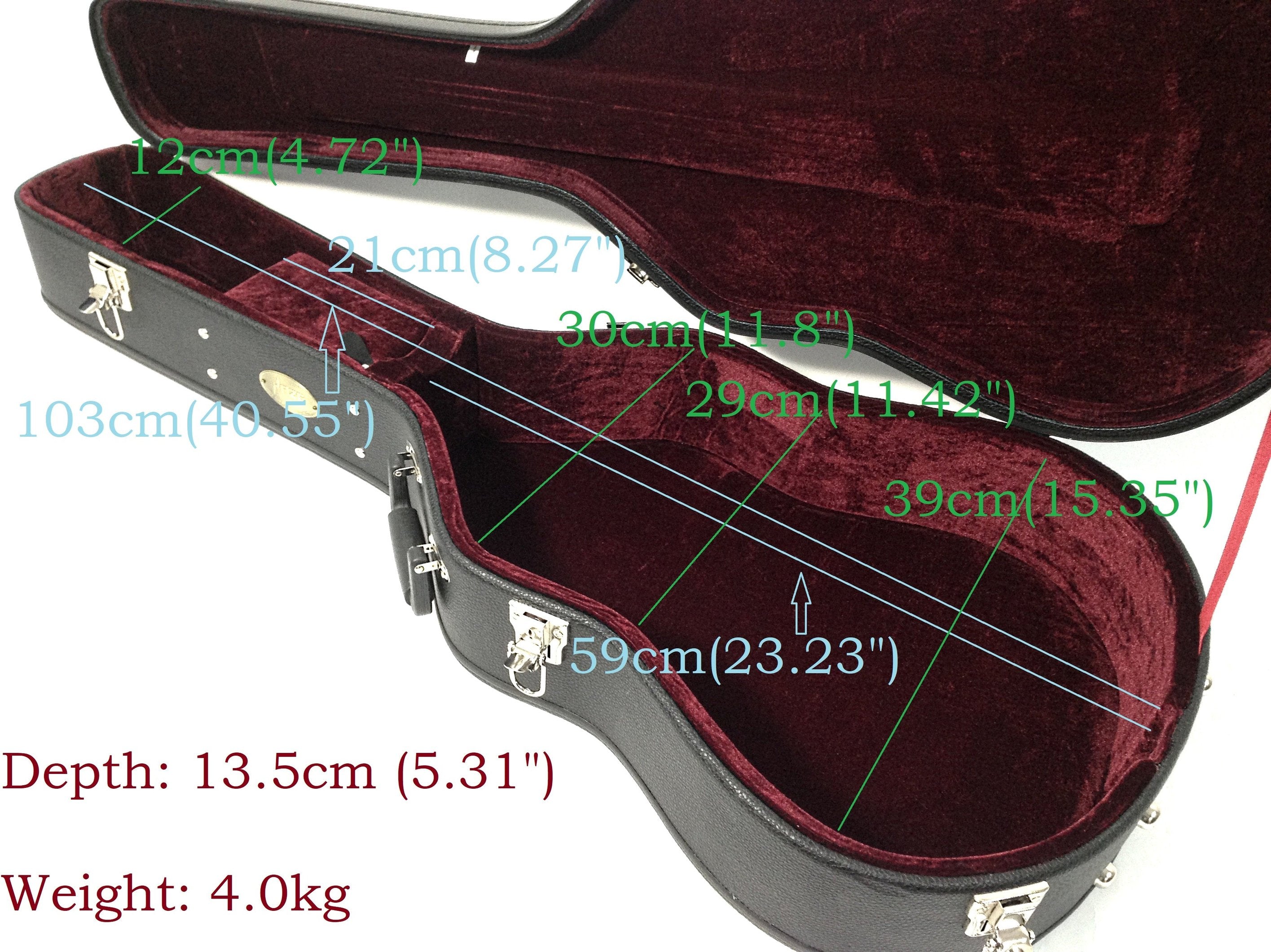 Lockable best sale guitar case